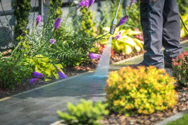 Best Boat and Dock Cleaning  in Montague, MI